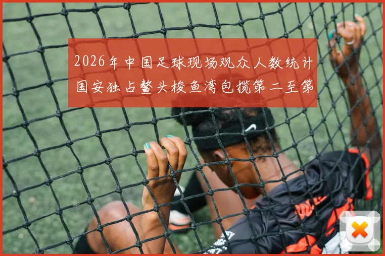 2026年中国足球现场观众人数统计国安独占鳌头梭鱼湾包揽第二至第七位